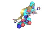 BIOPOLÍMERO